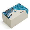 Custom Printed Rigid Double Door Perfume Gift Box With Insert