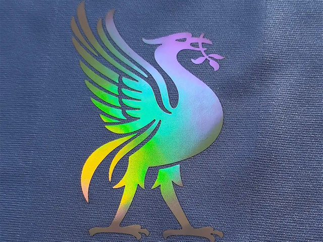 6.Holographic foil(Form of relief printing in which foil is transferred to a surface at hightemperatures