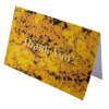 Custom Thank You Cards with Envelopes